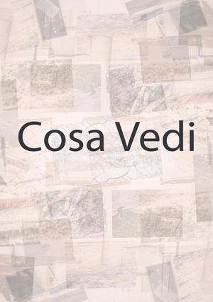 Cosa vedi