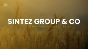 Sintez Presentation