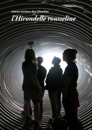 L'hirondelle rousseline