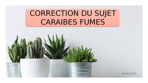 Correction Du Sujet Caraibes Fumes
