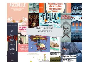 Catalogue Nouveautés LIV Numeriques 2024