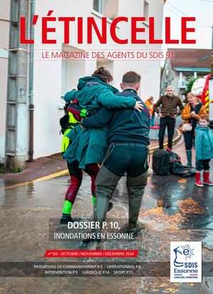 SDIS91 ETINCELLE 163