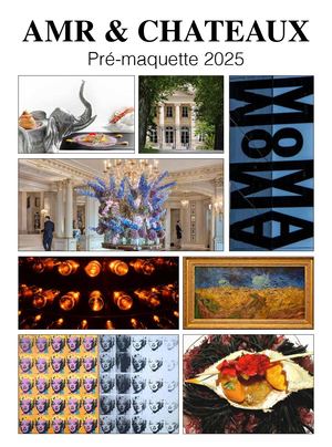 AMR 25 Maquette