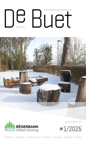 De Buet Januar Februar 2025