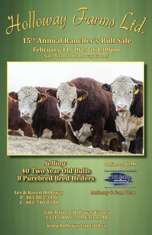 Holloway Farms 15th Annual Ranchers' Bull Sale
