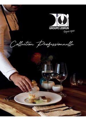 Catalogue chr lebrun 2025