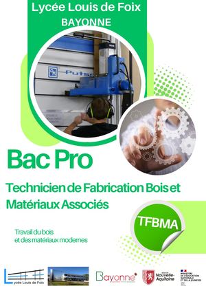 Bac Pro Tfbma