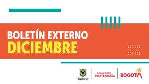 Boletin Diciembre