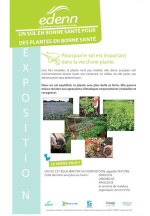 Un Sol En Bonne Santé