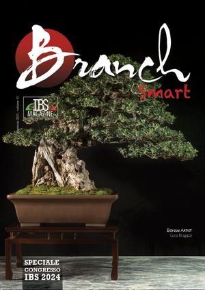 Branch Gennaio 2025 vers. Smart