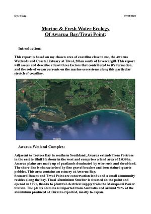 Tiwai New River Estuary Caitlins Marine Mammal Reserve Focus