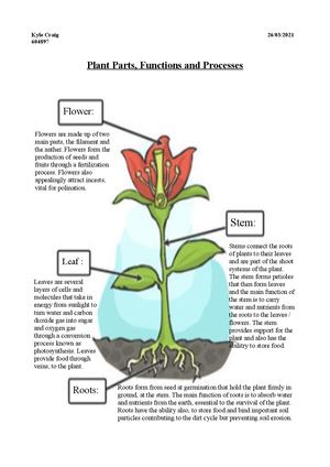 Plant Processes and their Implications