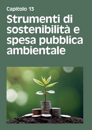 13 Strumenti Di Sostenibilità_RSA2024