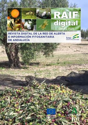 06 Revista Enero2025 Vinculos