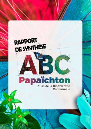 Rapport de synthèse de l'ABC de Papaïchton