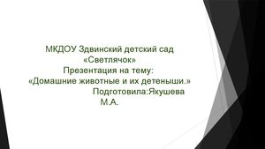 Проект ДОМАШНИЕ ЖИВОТНЫЕ в группе Ручеёк