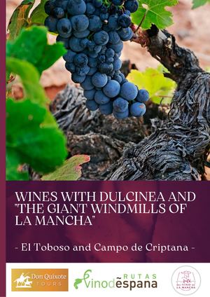 Experience Wines With Dulcinea Don Quixote Tours