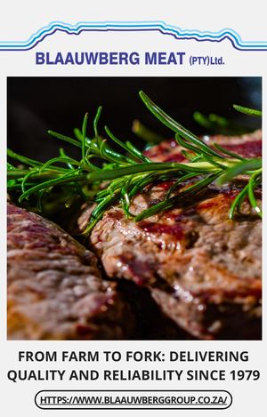 Blaauwberg Group - eBook (January 2025)