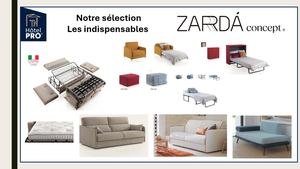 Presentation Zarda Modeles 2025 Fr
