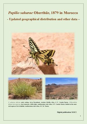 Papilio saharae in Morocco - Updated geographical distribution and other data. M. Tarrier & F. Courtin-Tarrier
