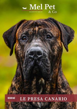 Magazine #32 - Presa Canario