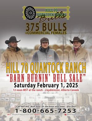Hill 70 Quantock Ranch Barn Burnin' Bull Sale 2025