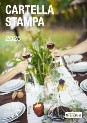 25 Artge Cartella Stampa