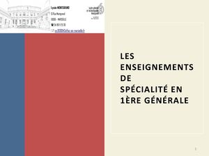 Les Enseignements De Spécialités 2025