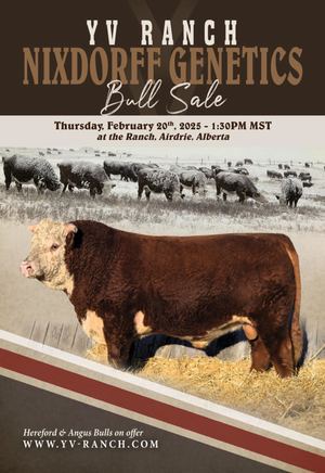 YV Ranch Nixdorff Genetics Bull Sale