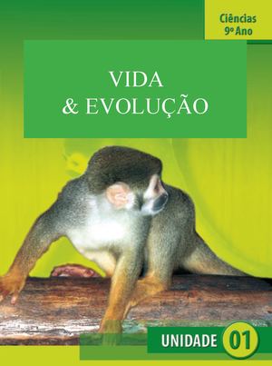 1º Trimestre 9º Ano