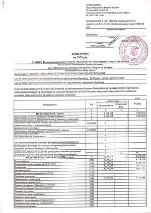 Кошторис 1031