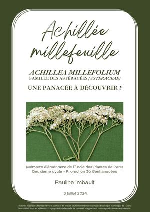 Achilleee Millefeuille Pauline Imbault 2024