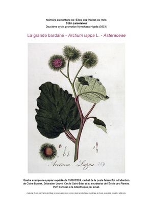 Bardane C Larsonneur 2024
