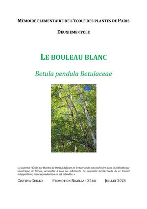Bouleau Blanc C Guillo 2024