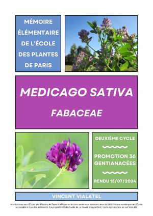 Luzerne Cultivé V Vialatel 2024