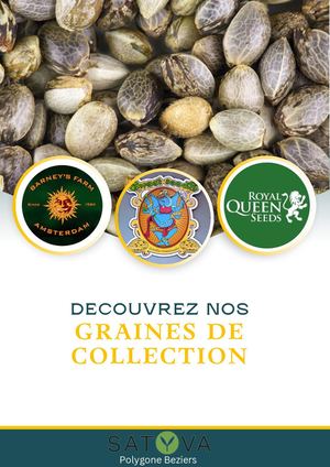 Graines De Collection Satyva Beziers