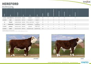 Hereford - Janvier 2024