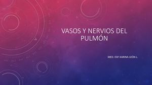 Vasos Y Nervios Del Pulmón