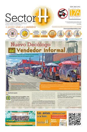 Periódico Sector H 176 y Plan S 29 Ene 25