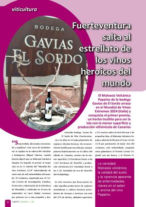 Fuerteventura Salta Al Estrellato De Los Vinos Heroicos Del Mundo