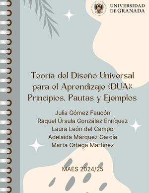 Teoría del Diseño Universal para el Aprendizaje (DUA): Principios, Pautas y Ejemplos