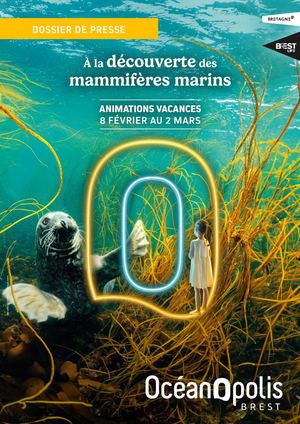 Dp Animations vacances de février 2025