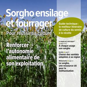 Sd P 2025 Reussir Sorgho Ensilage Fourrager
