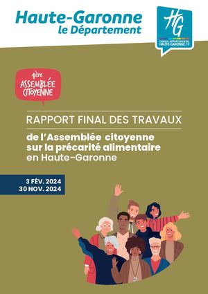 Rapport Précarité alimentaire - 3 fév./30 nov. 2024