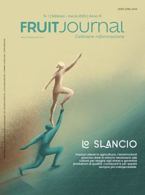 FRUIT JOURNAL | MAGAZINE N.1 2025