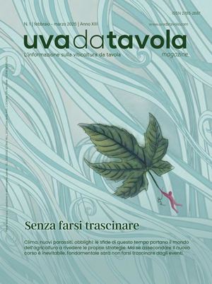 UVA DA TAVOLA | MAGAZINE N.1 2025