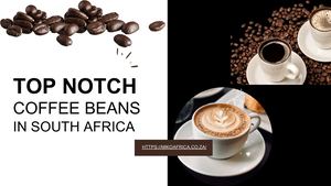 Miko Africa - Presentation (January 2025)