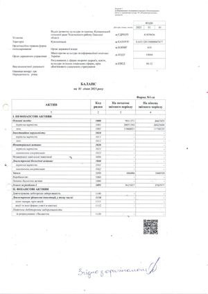 Звіт за 2024 рік