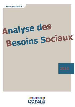 Analyse Des Besoins Sociaux 2013