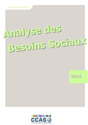 Analyse Des Besoins Sociaux 2014
